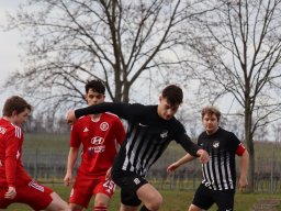 FC Leistadt VS. SV Schöntal